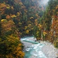 用戶頭像
