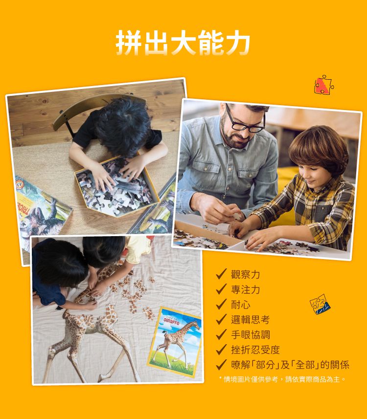 Madd Capp - I AM 動物拼圖-100,我是無尾熊