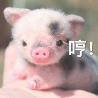 用戶頭像