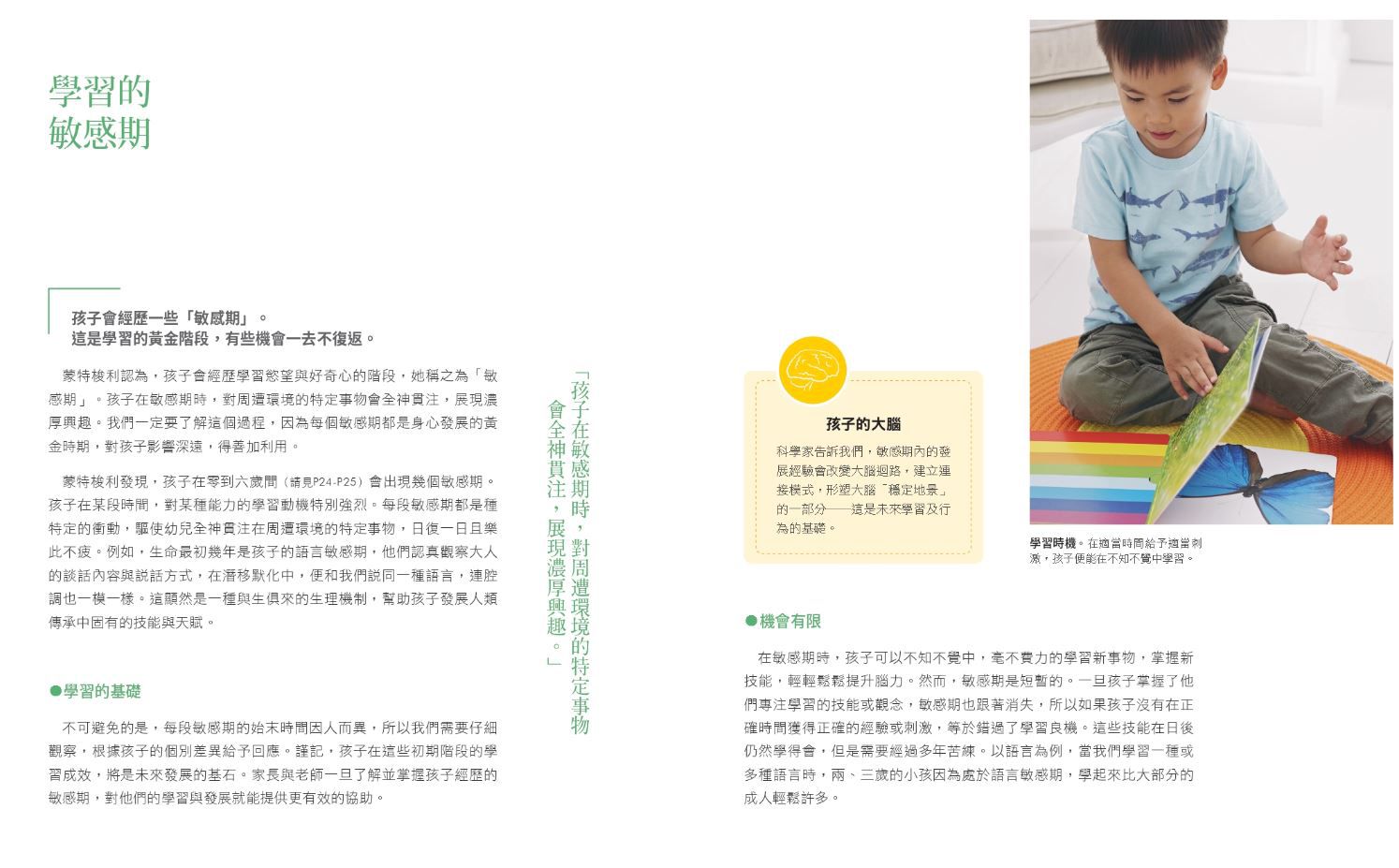 在家也能蒙特梭利(全新增訂版)