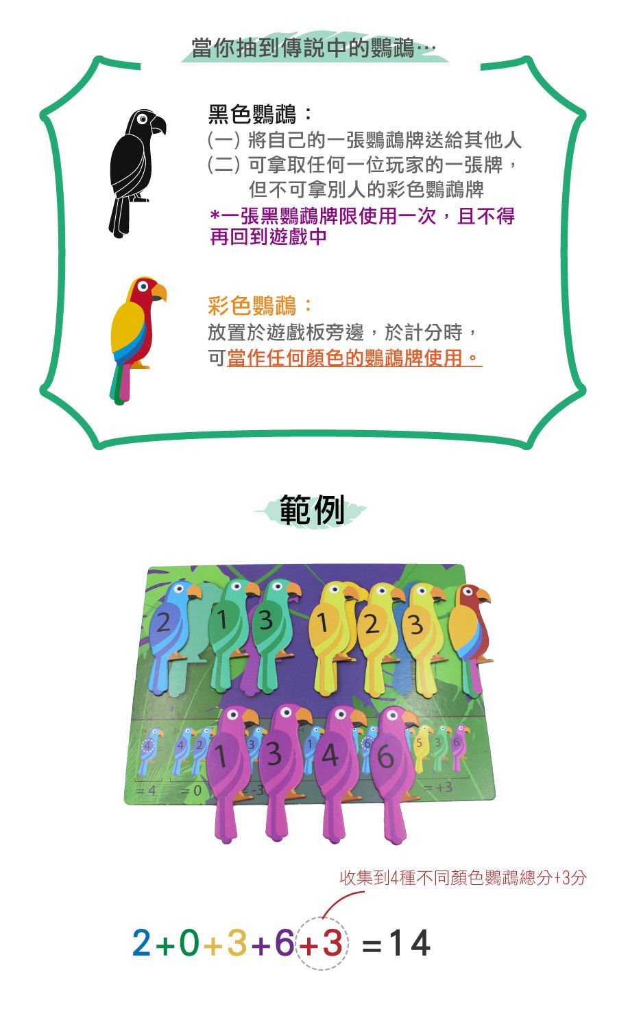 荷蘭BS - 機智的鸚鵡-8歲以上