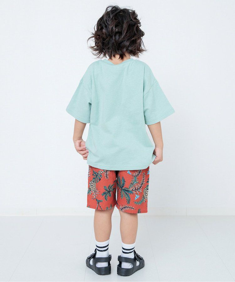 日本 BREEZE - 100%棉定番印花短褲-變形蟲-綠