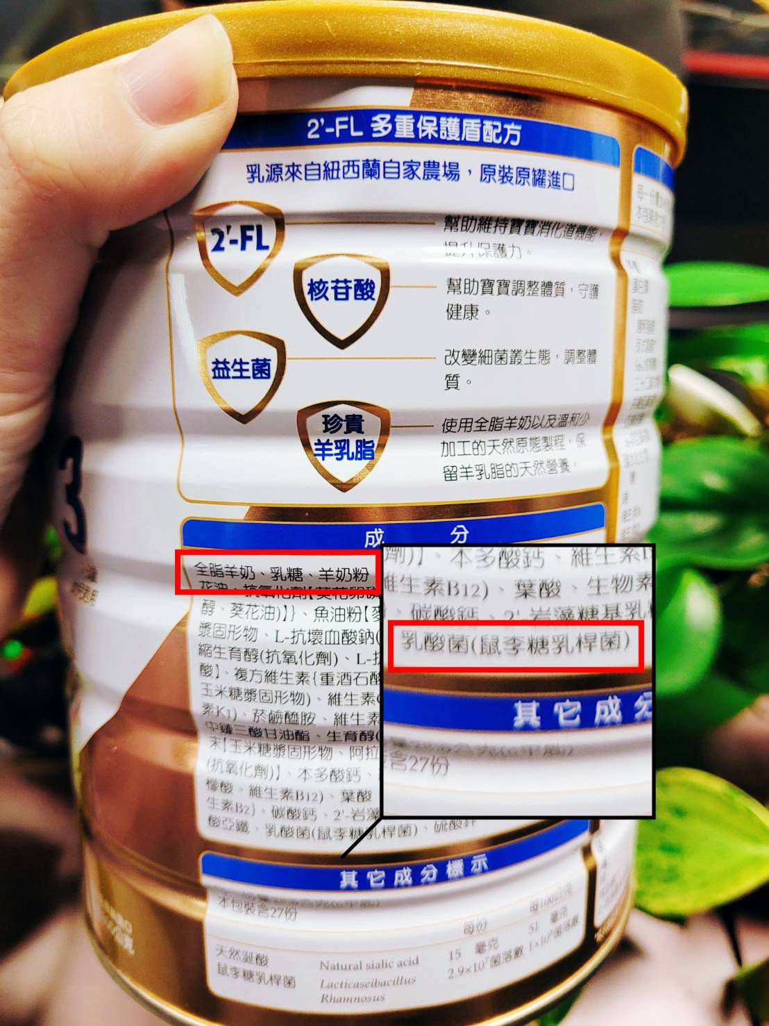 卡洛塔妮星護羊X好的益生菌 過敏寶寶的第一選擇