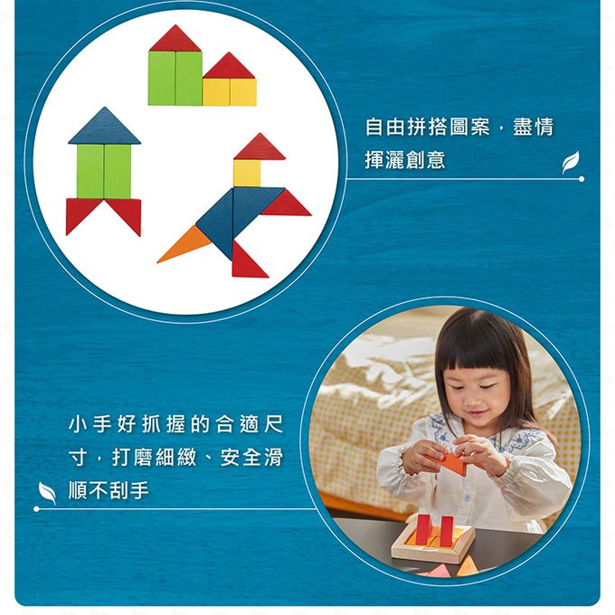 泰國 Plantoys - 分數概念學習組