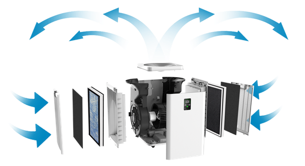 荷蘭 BRISE - C600 抗敏最有感的空氣清淨機 - APP登入送1年前置濾網-(獨家！登記送防疫濾網)