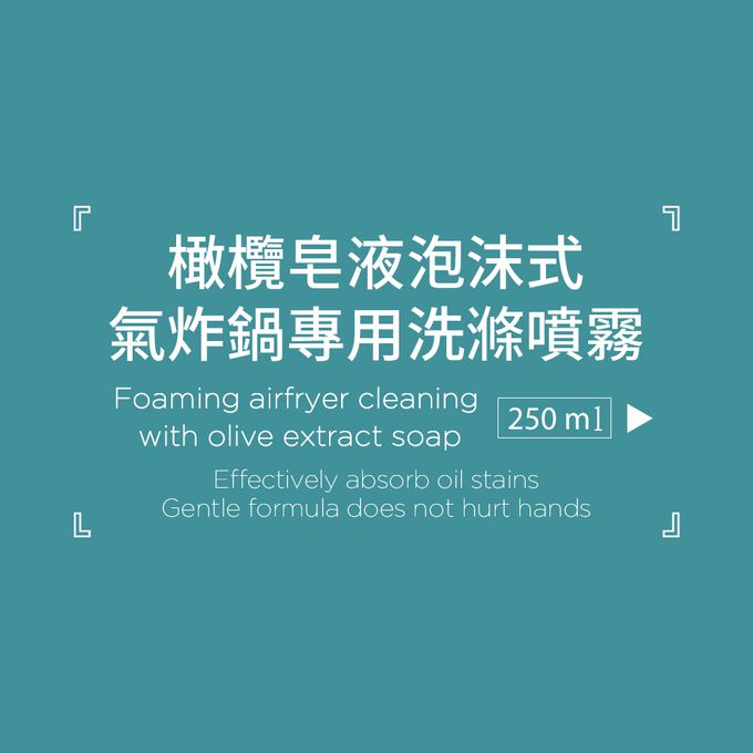 Spraypal 噴寶 - 氣炸鍋專用清潔噴霧-250ML