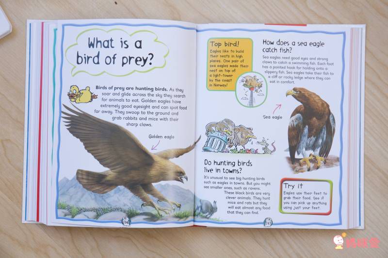 《大象艾瑪ELMER》英文繪本10書＋有聲CD套組✯ 單本不到百元！ 英文親子共讀首選♬