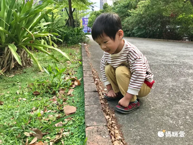 法國禦叮 Cooper - Insect Expert-Family-禦叮⻑效防蚊液-派卡瑞丁-100ml