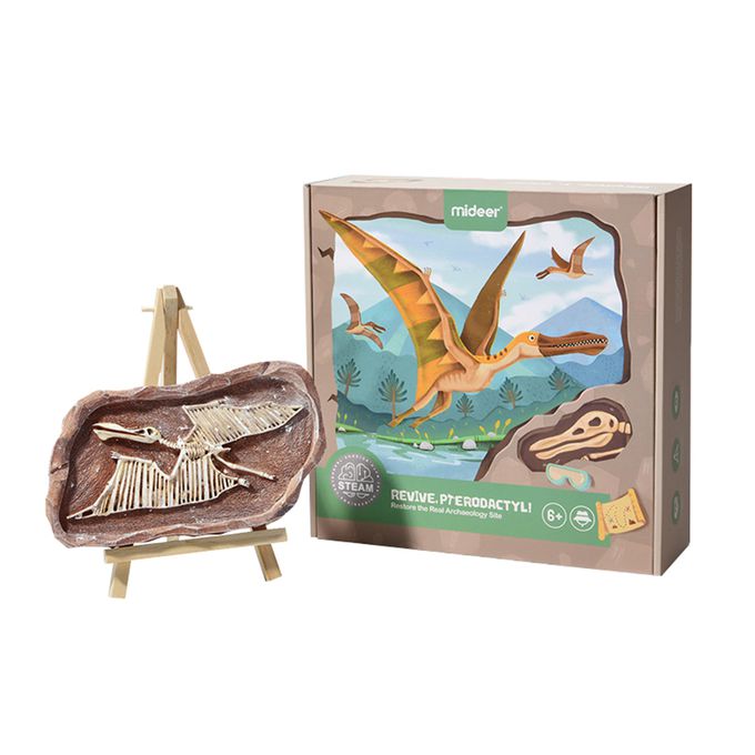 MiDeer - 考古挖掘套組-翼龍