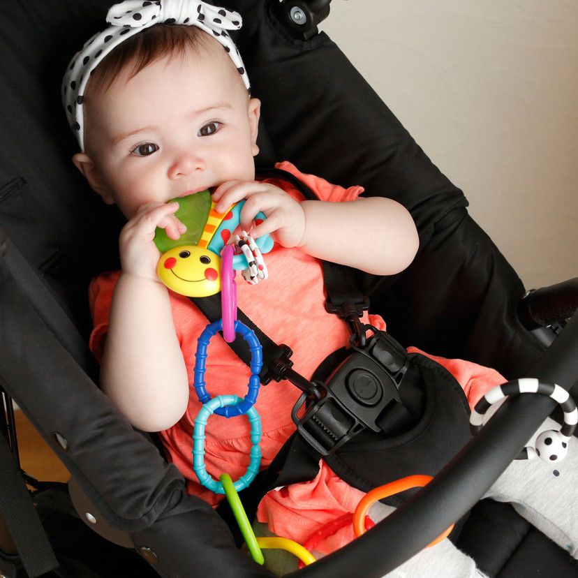 akachan honpo - 彩色圈圈組