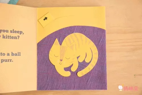 【Pop-Up立體童話】看故事學英文單字、顏色、數字、相反詞