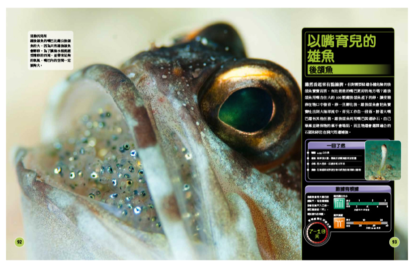 超能力鯊魚百科：驚人的海洋動物大圖解 (精裝 / 208頁 /全彩印刷)