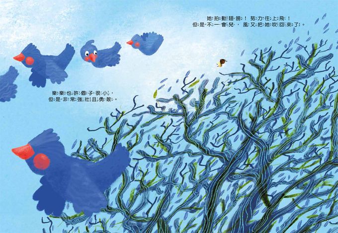 再試一下！勇敢的小蜜蜂