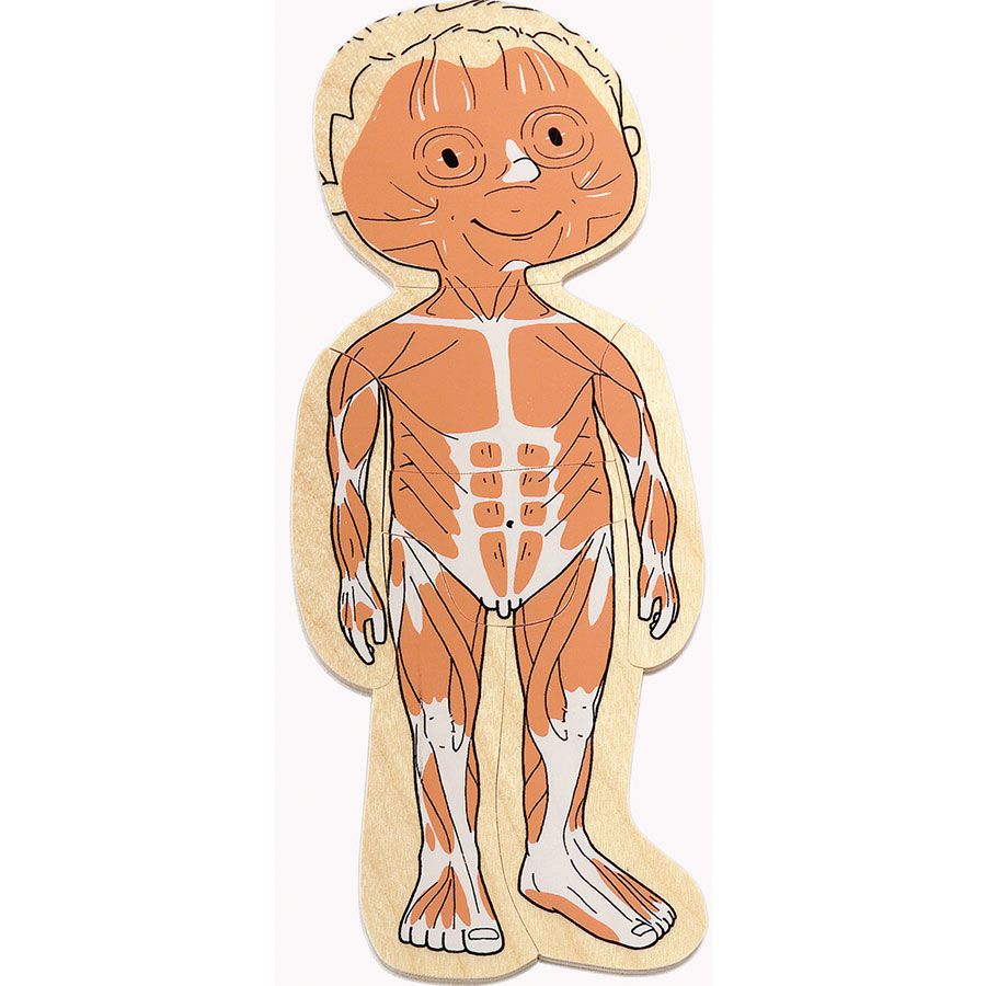 Beleduc - 多層拼圖-男孩