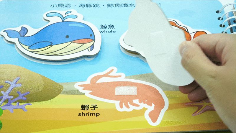 寶寶認知黏貼書+寶寶認知塗色本-數數123