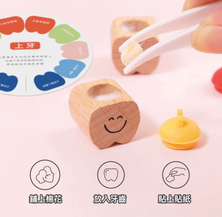 寶寶乳牙收藏盒-塑膠透明牙-粉色 (20x2.5x18.5cm)