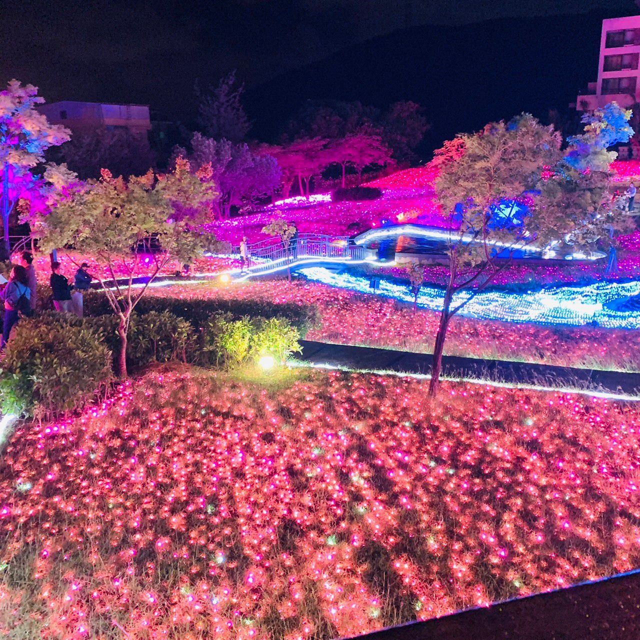 戀戀星辰湖畔莊園星光館 - 平日入住-花園家庭四人房含四客早餐住宿券-優惠效期至 2024/02/28