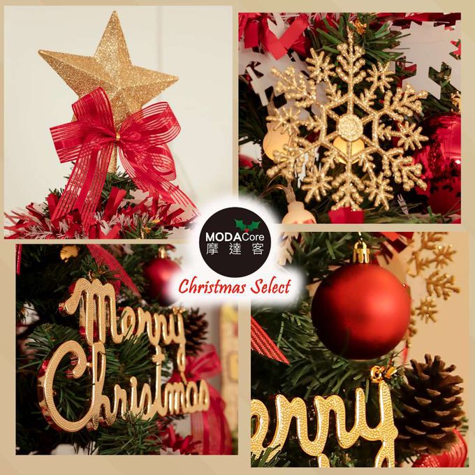 MODACore 摩達客 - 摩達客台製5尺/5呎(150cm)豪華型裝飾綠色聖誕樹/火焰金白大雪花紅果球系全套飾品組+100燈LED小圓球珍珠燈串(暖白光/USB接頭) *1