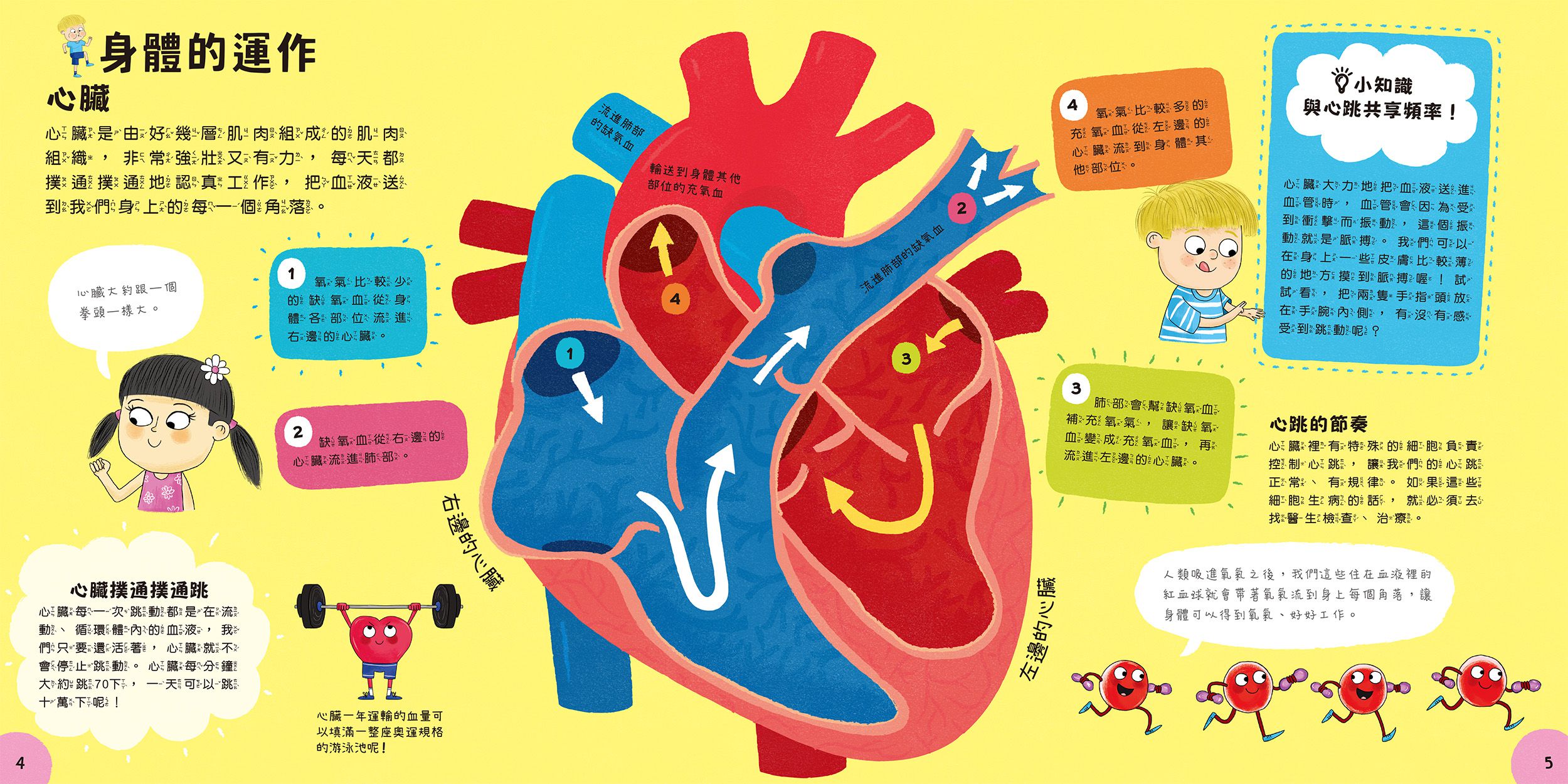 小小知識家的百科書套書10冊(書盒版)