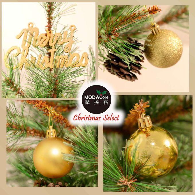MODACore 摩達客 - 摩達客耶誕-60cm高級開花黃枝松針原木底座聖誕樹/含金球松果配件/本島免運費