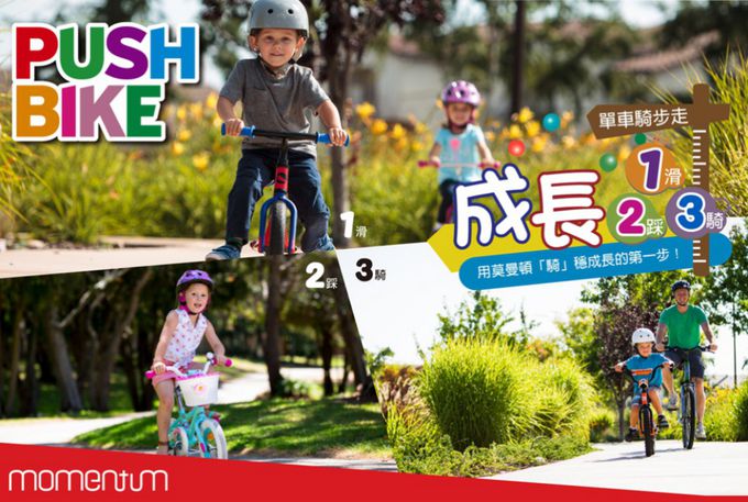 GIANT 捷安特 - momentum iFun One PUSHBIKE 兒童平衡滑步車-朋克灰 (單人)