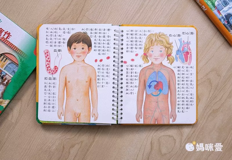 2D透視膠片書-工地實況