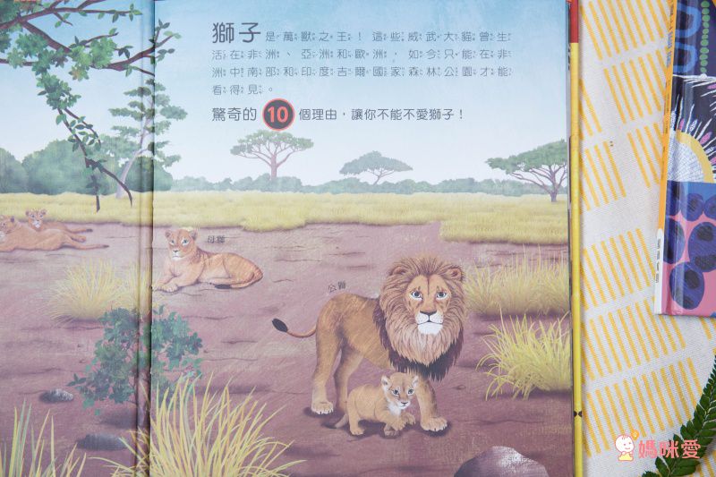 10理由讓你愛上動物！【閣林文創 】生命教育最佳入門書 / 環遊世界之旅 / 恐龍繪本♕大孩子一定要入手的暢銷套書！