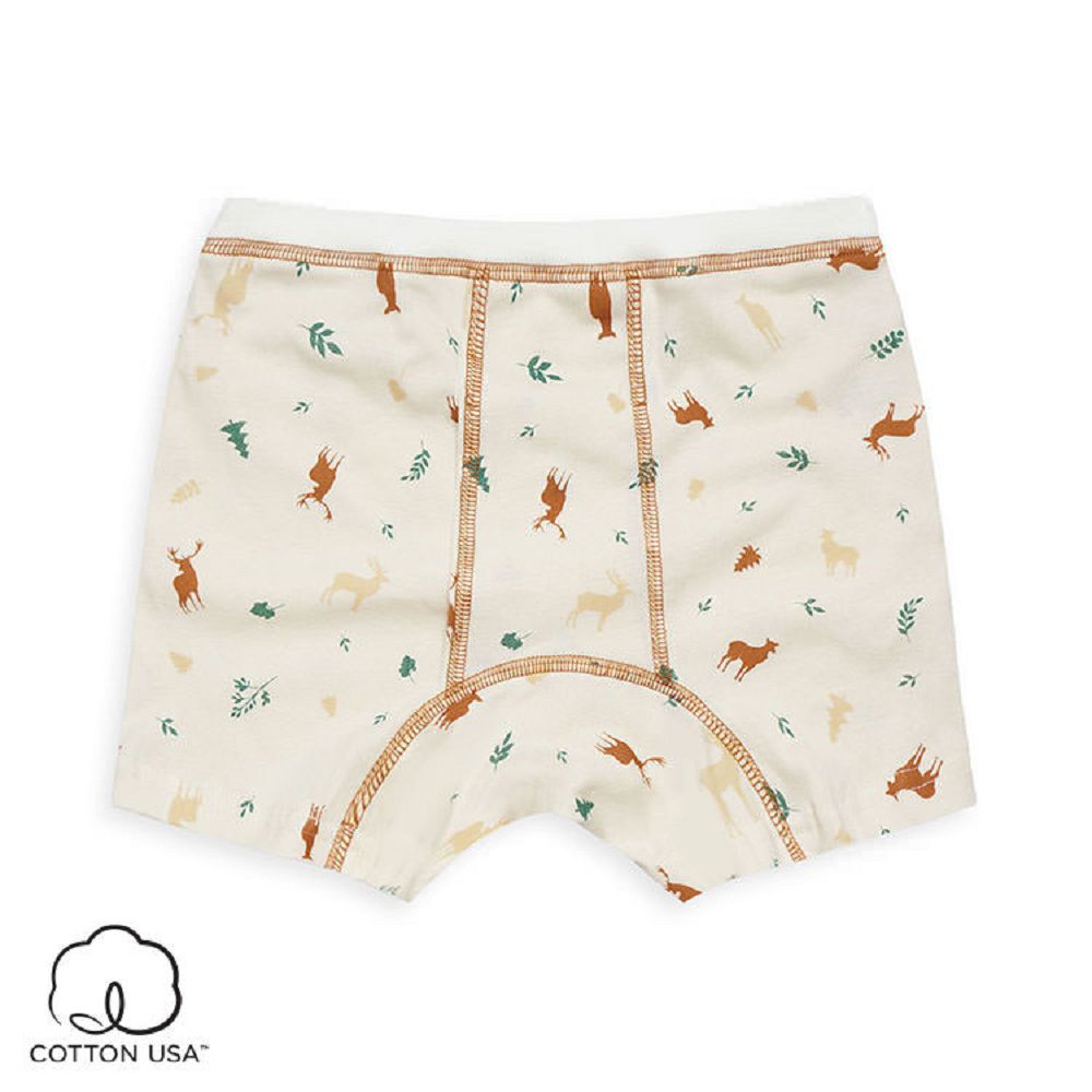 Annypepe - 男童純棉鹿四角褲-米黃 (160)