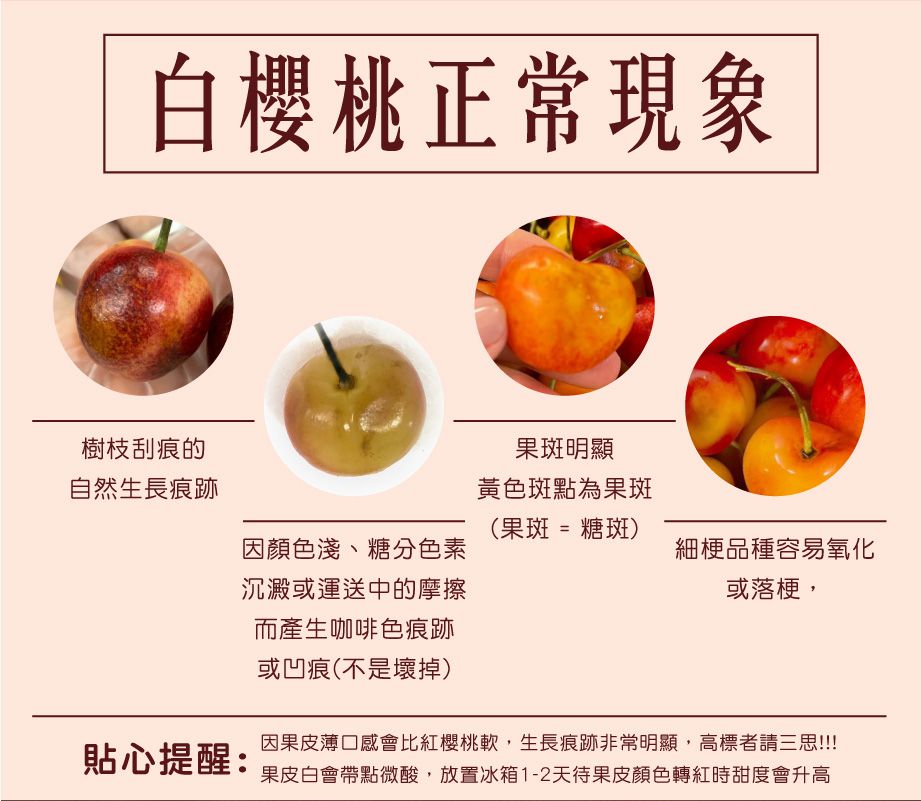 最低一盒不用$700！夏季限定！美國華盛頓直送 9ROW紅櫻桃