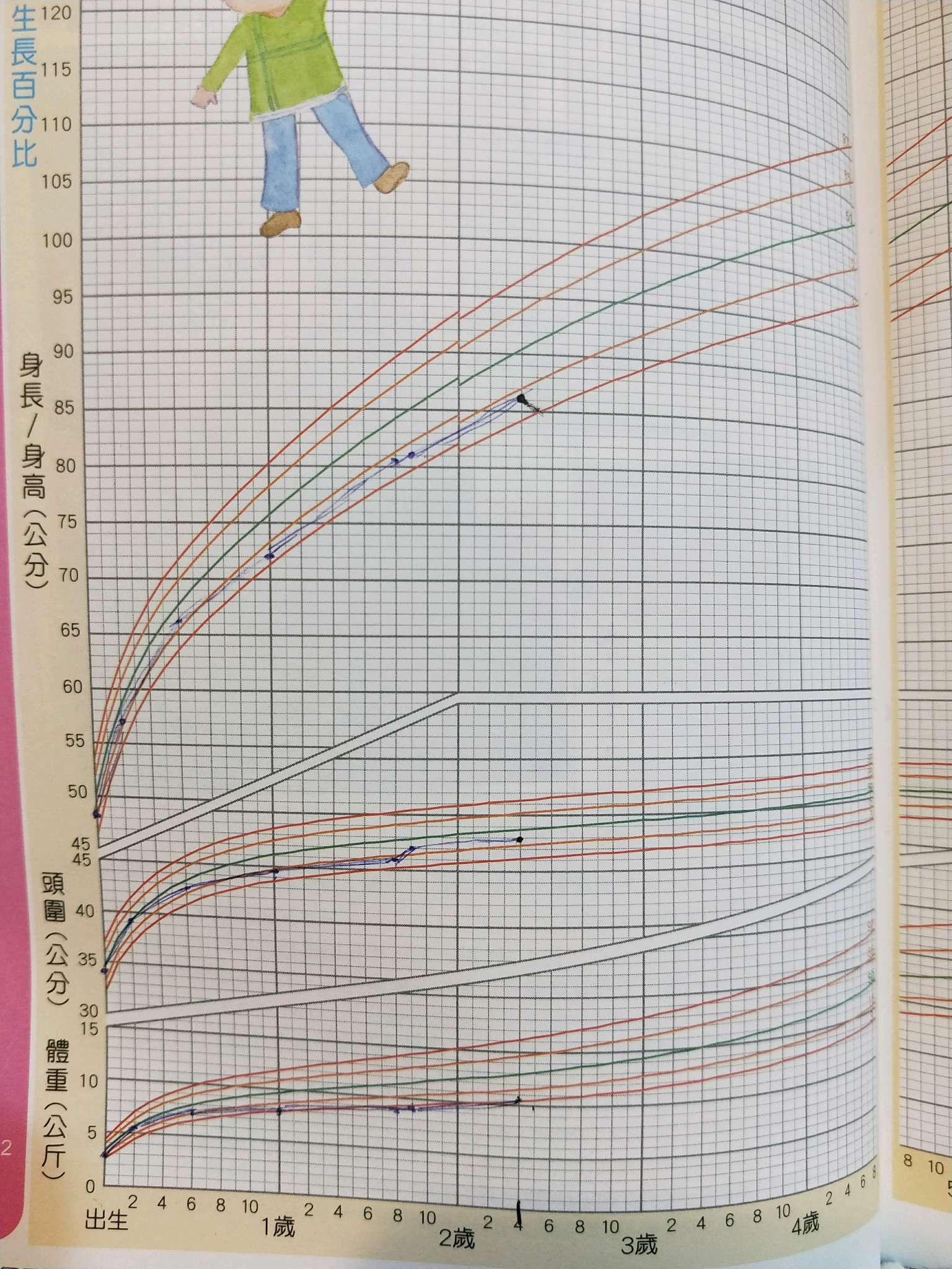 小孩生長曲線