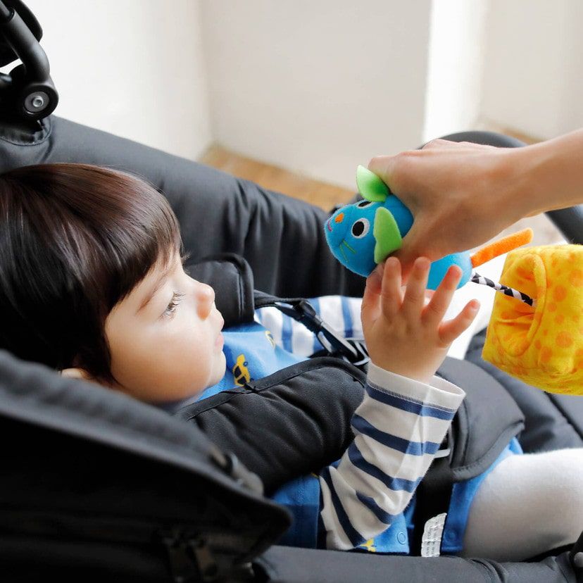 akachan honpo - Sassy震動-老鼠