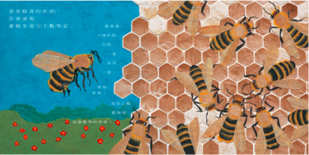 大自然的藝術家──不可思議的線條和形狀