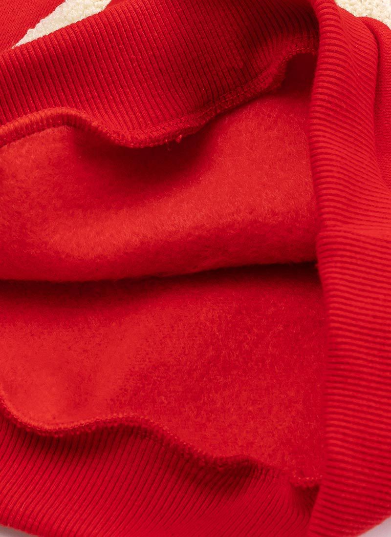 韓國 OZKIZ - (裏起毛)魯道夫連帽T/聖誕-咖啡