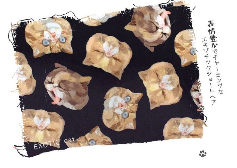 日本 zootie - 貓咪系列 修身設計長裙-黑底-扁臉貓