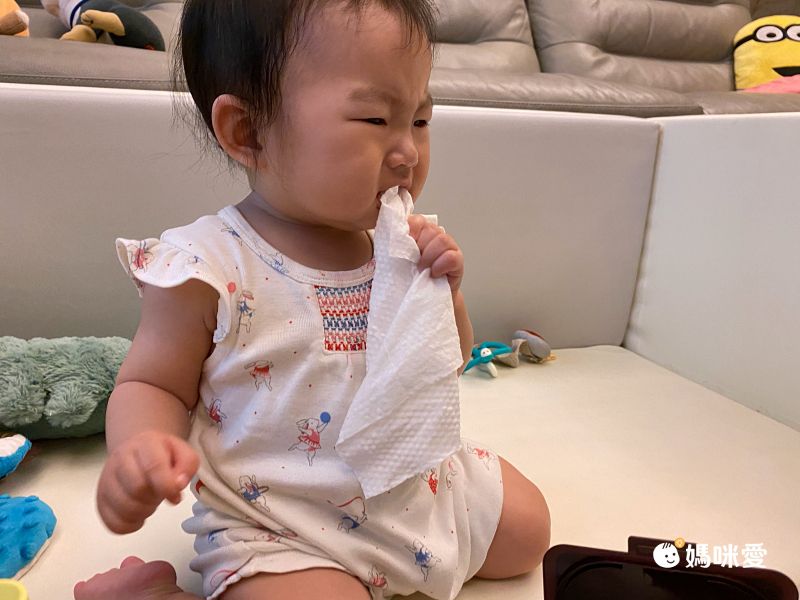 韓國BROWN - VIP GOLD BROWN 濕紙巾-可可果20抽(含蓋)*24包