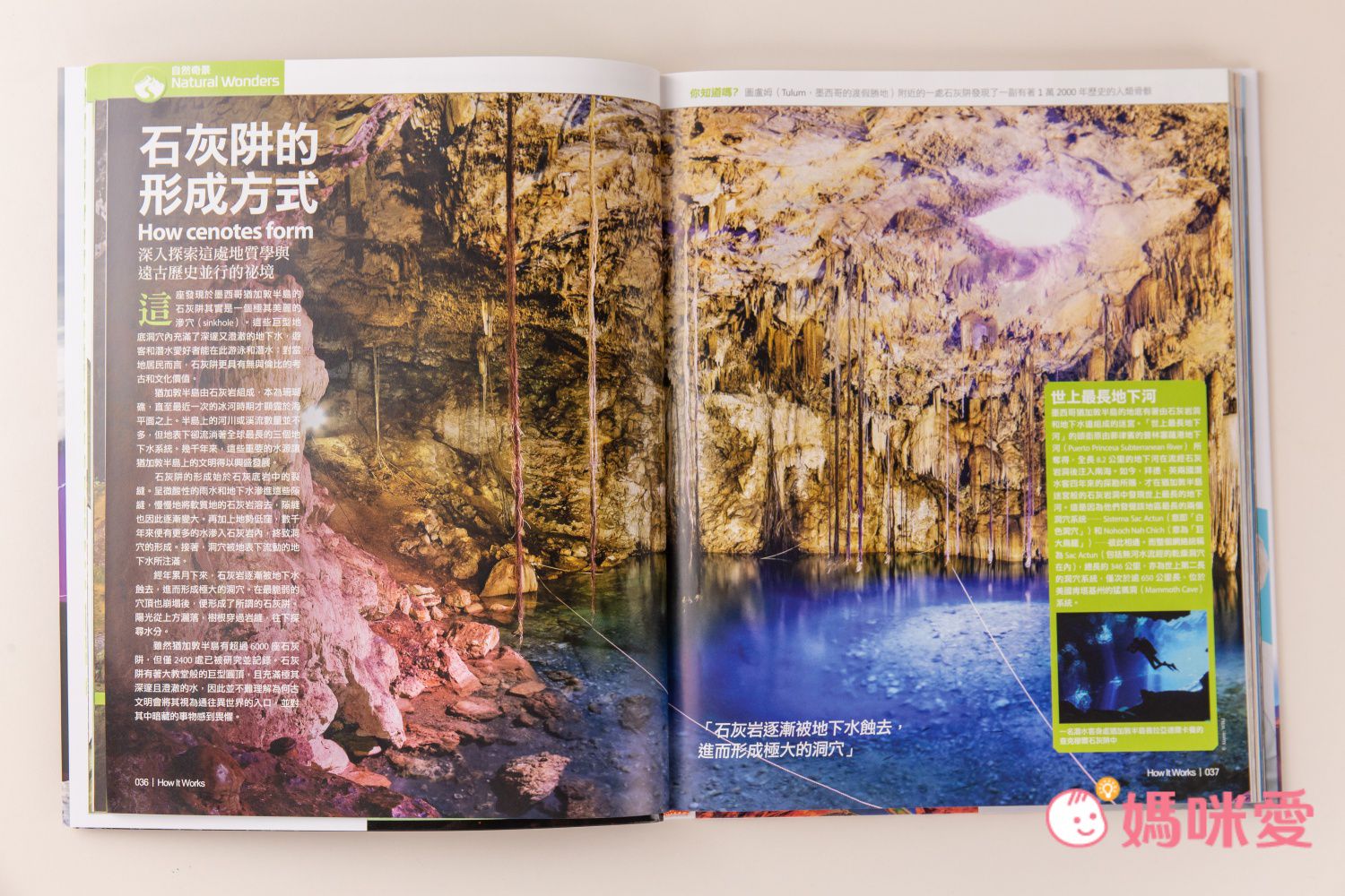 滿足全家大小的求知慾【Live ABC】How It Works知識大圖解