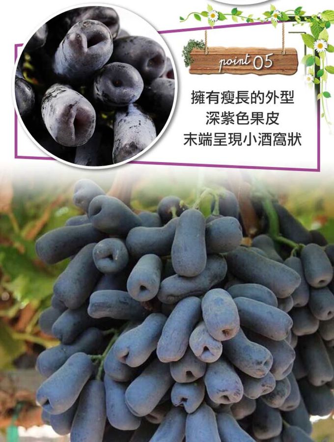 愛品鮮 - 美國空運 Grapery無籽月亮葡萄1袋-1kg/袋X1