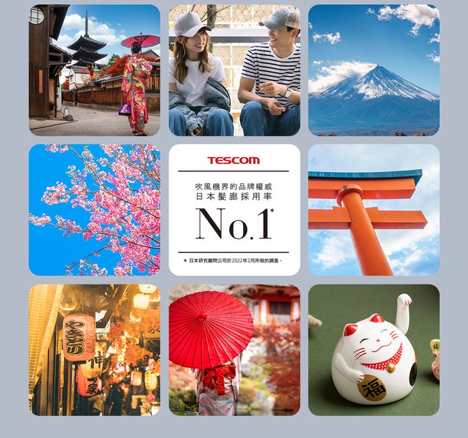 日本 TESCOM - 專業級負離子吹風機 TD880ATW-霧黑色