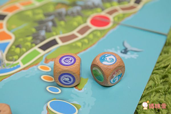 自然科學博物館授權【臺灣特有種】親子桌遊，認識台灣本土物種