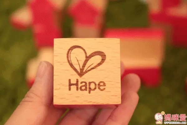 Hape 彩色創意積木組 30 周年限定版