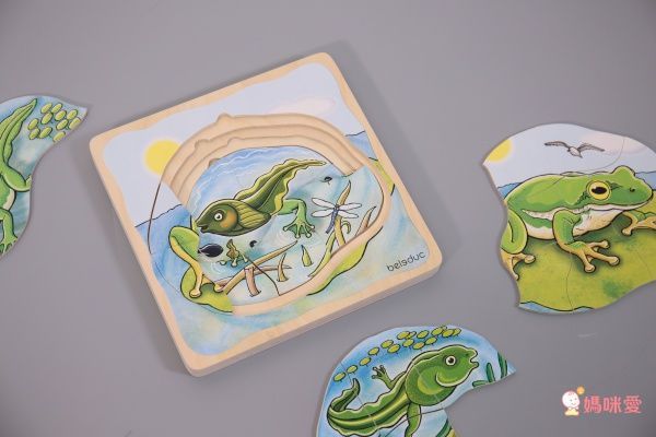 Beleduc - 多層拼圖-青蛙