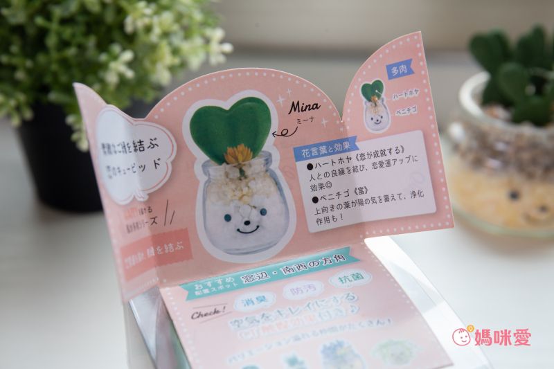 日本 KISHIMA - CT觸媒 開運消臭仿真多肉盆栽-貴人運-Mina (S(5x7.5x11cm))