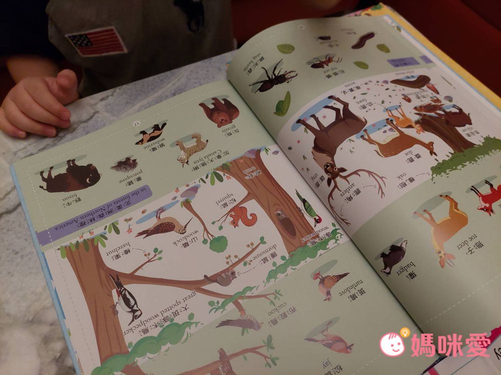 符合教育部國小規定【世一文化點讀筆系列】中英學習靠這套！