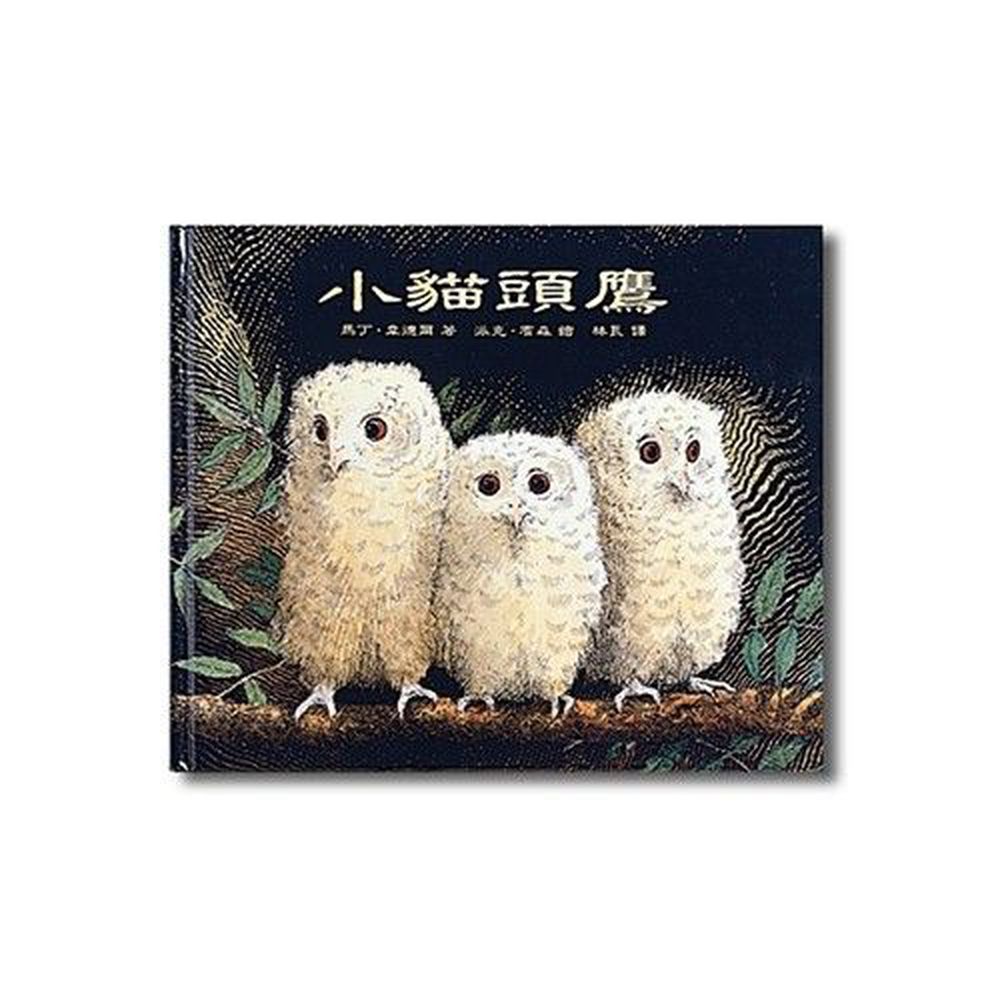 小貓頭鷹