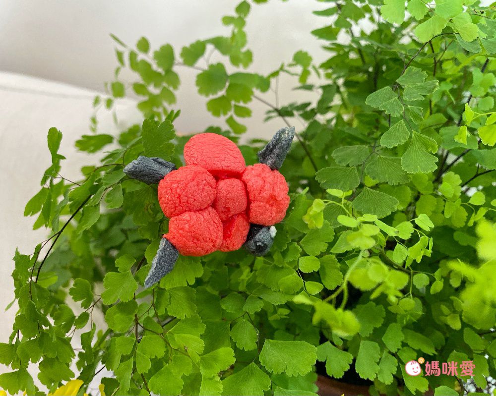 Donerland - 魔法迷您玉米黏土-鱷魚-工具刀*1+吸水海棉墊*1+盒裝背面附有教學說明