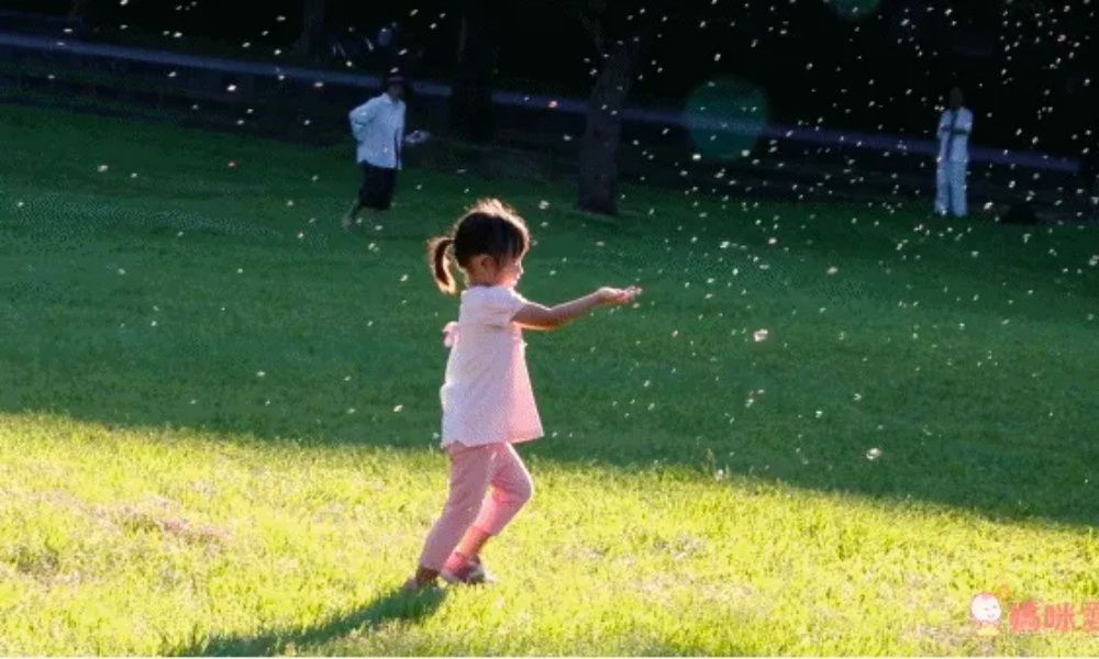 出神入化泡泡玩具【台灣製 Uncle Bubble】