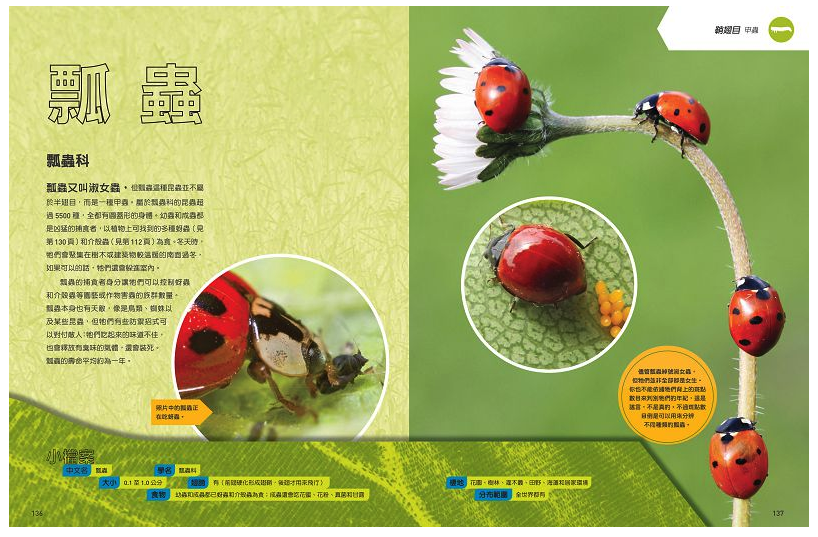 國家地理終極昆蟲百科 (精裝 /272頁 /全彩印刷)