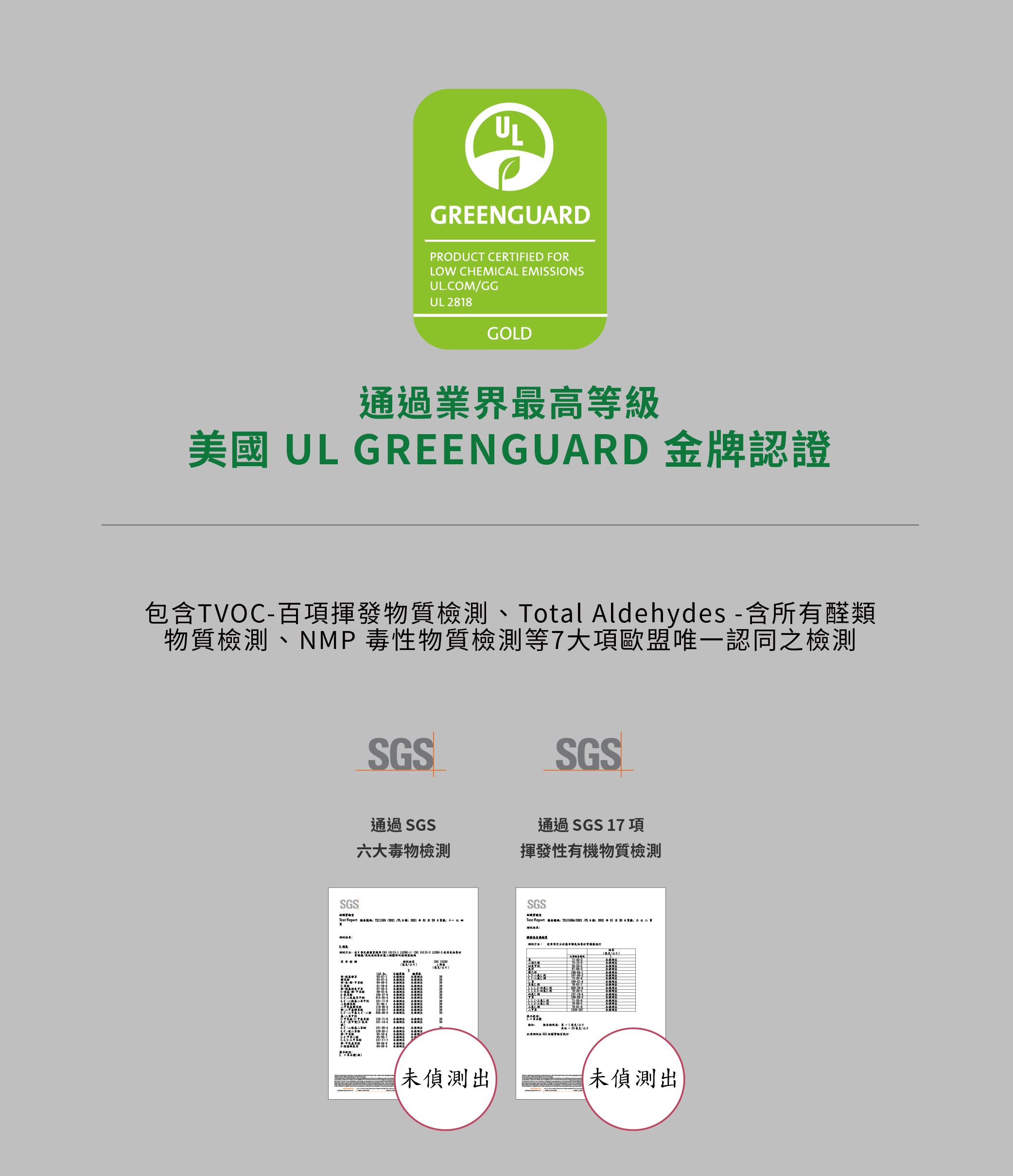 公主系漸層、爆走恐龍【STYLEi 史戴利】雙鋼印兒童口罩