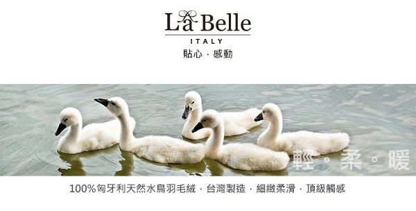 格蕾寢飾 Great Living - 義大利La Belle《匈牙利立體車邊水鳥羽毛絨暖冬被》 (特大)