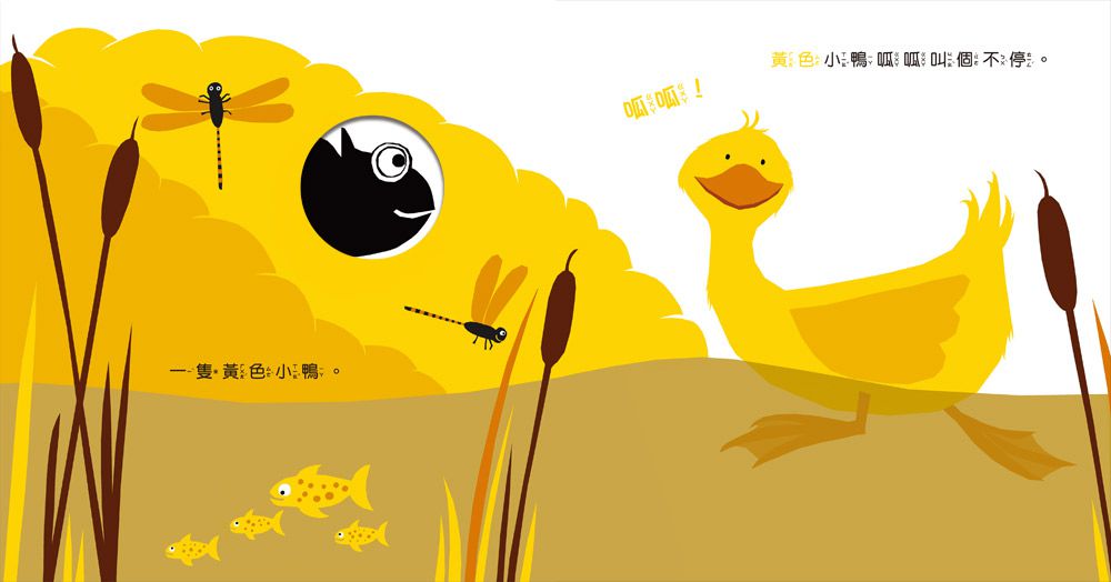 小變色龍變變變：探索顏色